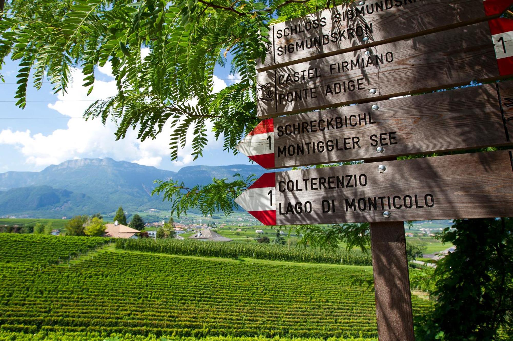 Hotel Girlanerhof Appiano Sulla Strada Del Vino Ngoại thất bức ảnh